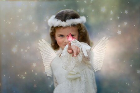 Fairy imagination gray angel