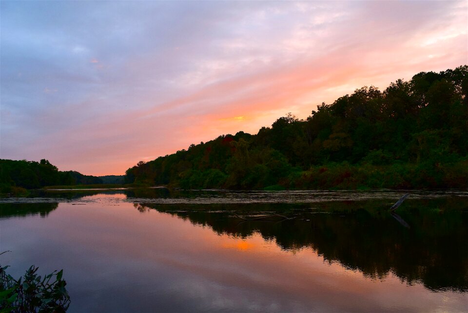 Trees water lake photo