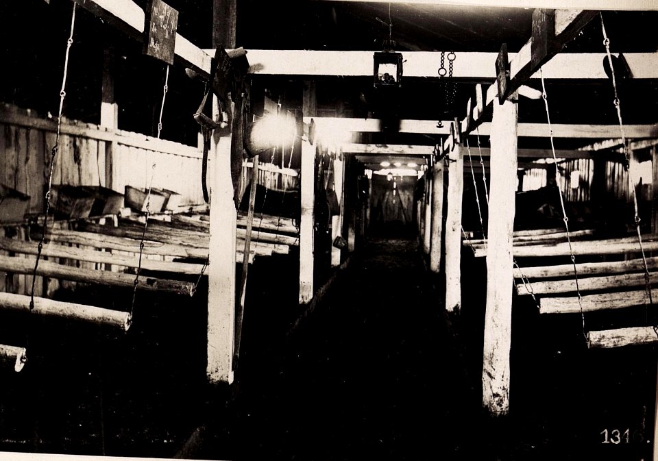 Poniczew, Pferdespital. (28-II.1918.) (BildID 15712492)