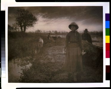 Poling the marsh hay LCCN93500126