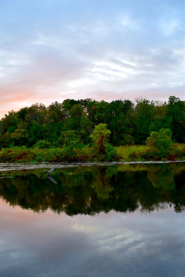 Trees water lake photo