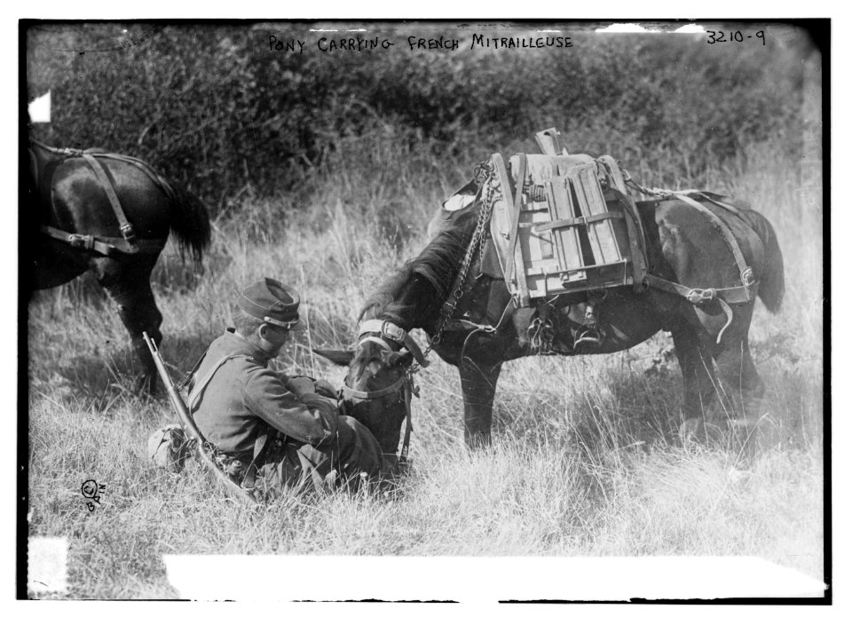 Pony carrying French Mitrailleuse LCCN2014697212