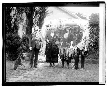 Pop Amison & Hardy LOC npcc.04016