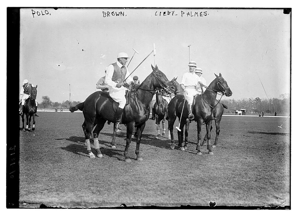 Polo, Brown, Lieut. Palmes LCCN2014689092
