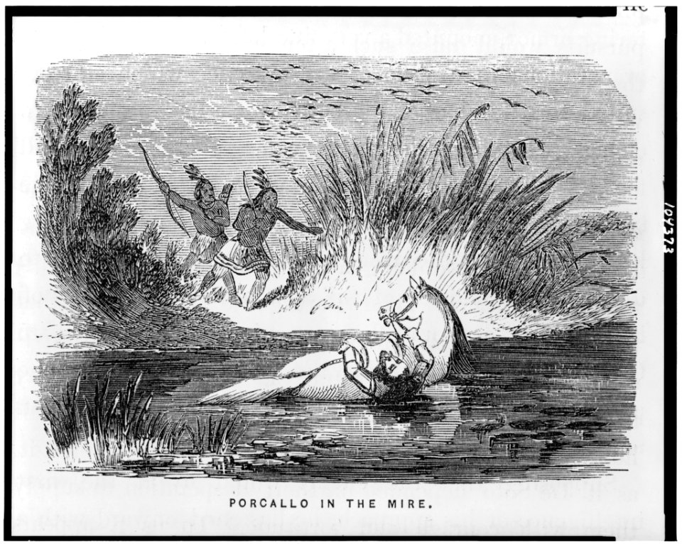 Porcallo in the mire LCCN91789847