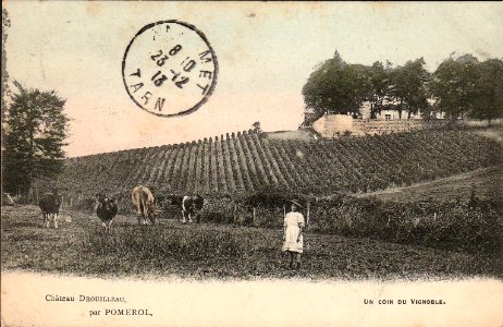 Pomerol - château Drouilleau