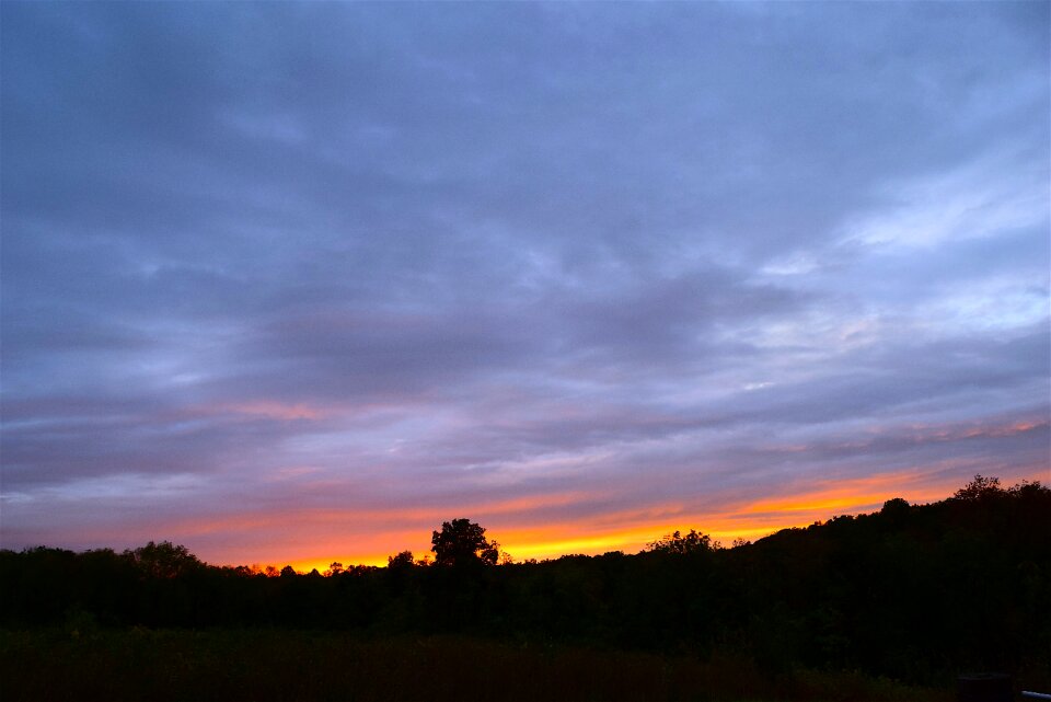 Silhouette nature sun photo