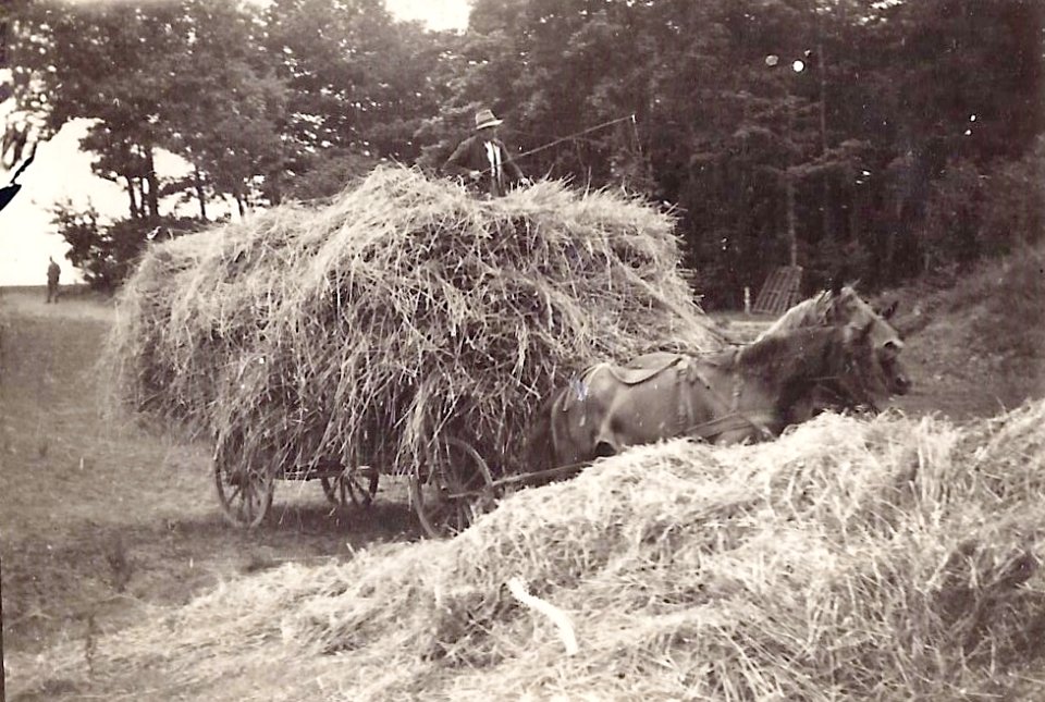 Pommern Dolgen 1930 - Heuwagen