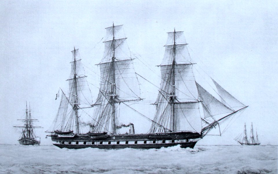 Pomone-F Roux img 3111