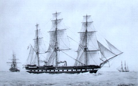 Pomone-F Roux img 3111