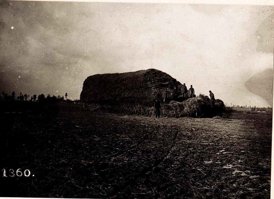 Poniczew, Detailaufnahme des Dorfes. (28-II.1918.) (BildID 15712583)