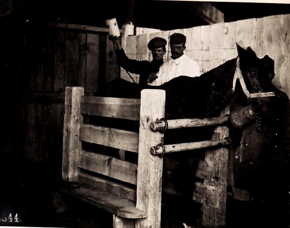 Poniczew, Pferdespital. (28-II.1918.) (BildID 15712478)