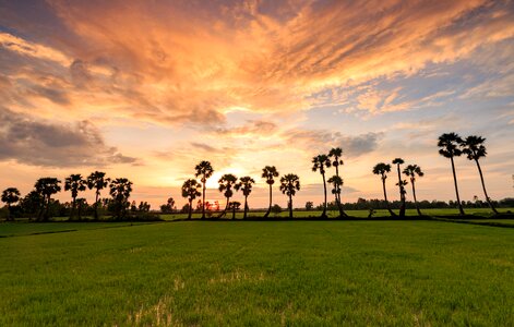 Nature landscape viet nam