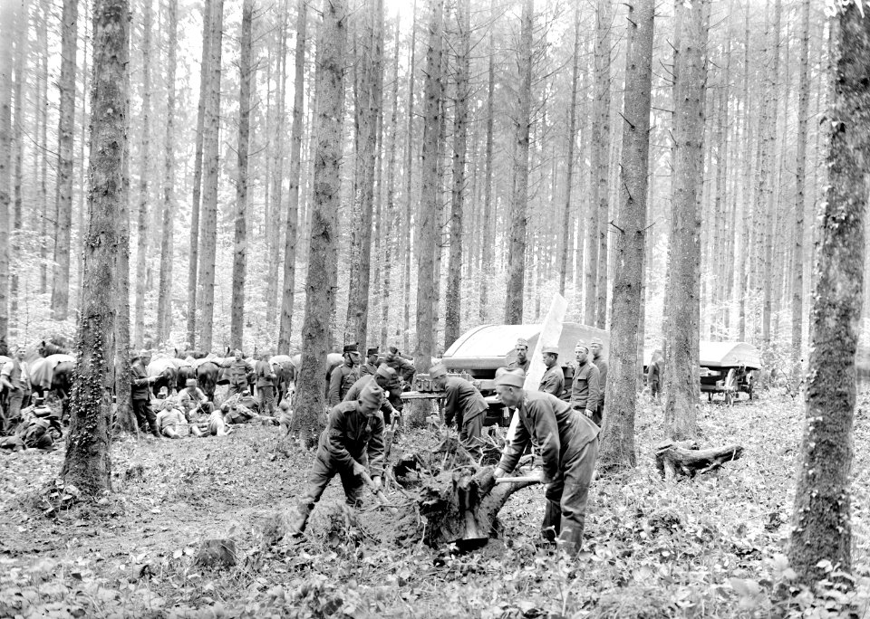 Pontoniere durch den Wald zur Uebersetzstelle - CH-BAR - 3239603