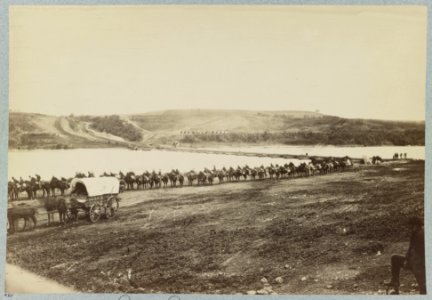 Pontoon bridge across Rappahannock River below Fredericksburg, Va LCCN2012649537
