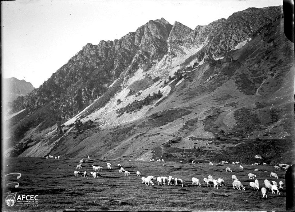 Port de la Bonaigua i el Tres Puis
