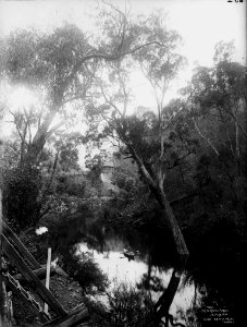 Pool by Grand Arch, Jenolan Caves