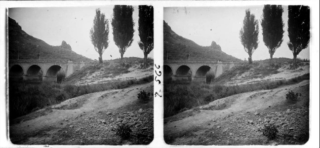 Pont petit d ' Artesa de Segre