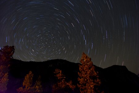 Stargazing astrophotography trees photo