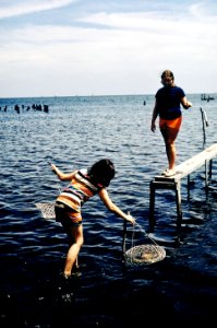 PontchartrainCrabs1972