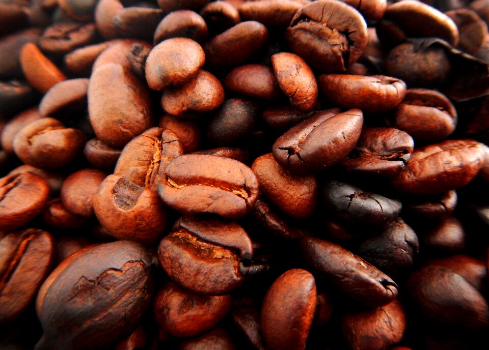 Coffe grains coffee brown