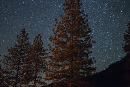 Stargazing astrophotography trees photo