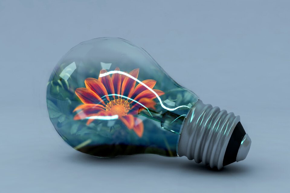 Energy creativity vivid