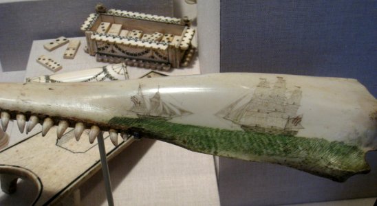 Porpoise jaw scrimshaw - Old State House Museum, Boston, MA - IMG 6783