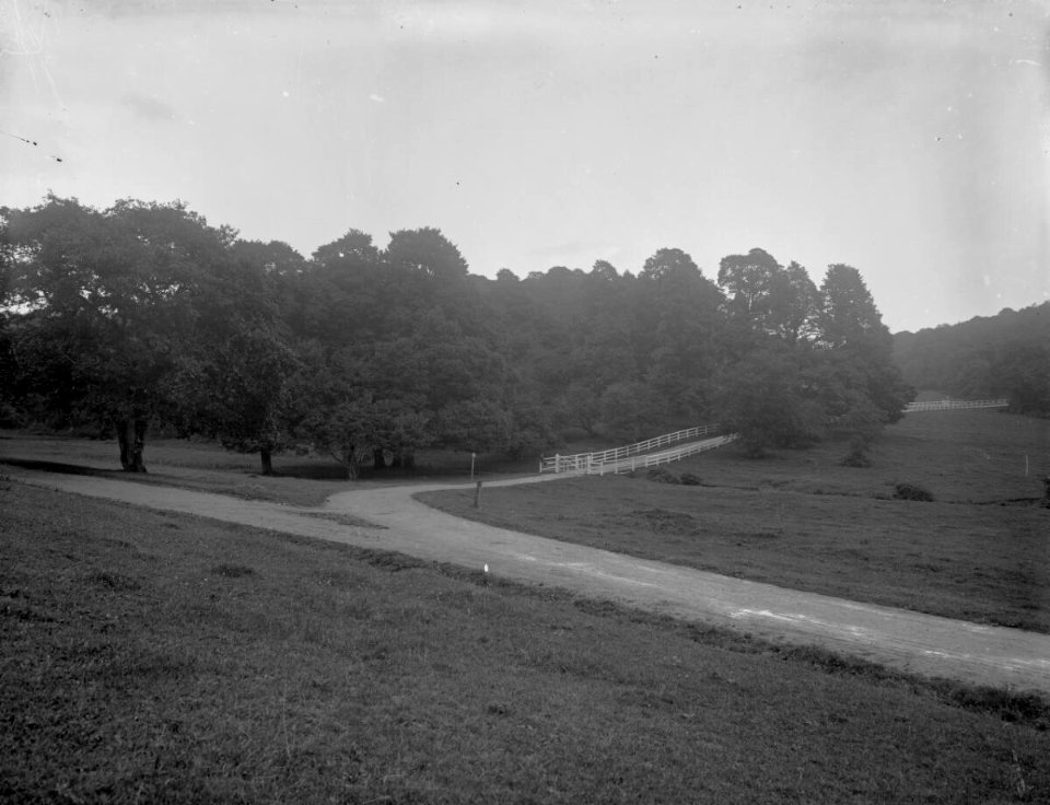 Porthkerry Park, Barry (4641191)
