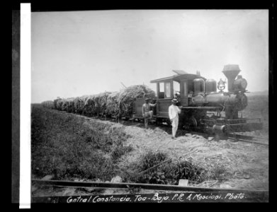 Porto (i.e., Puerto) Rico, West Indies, Central Constancia, Toa-Bajo, P.R. LCCN2016824451
