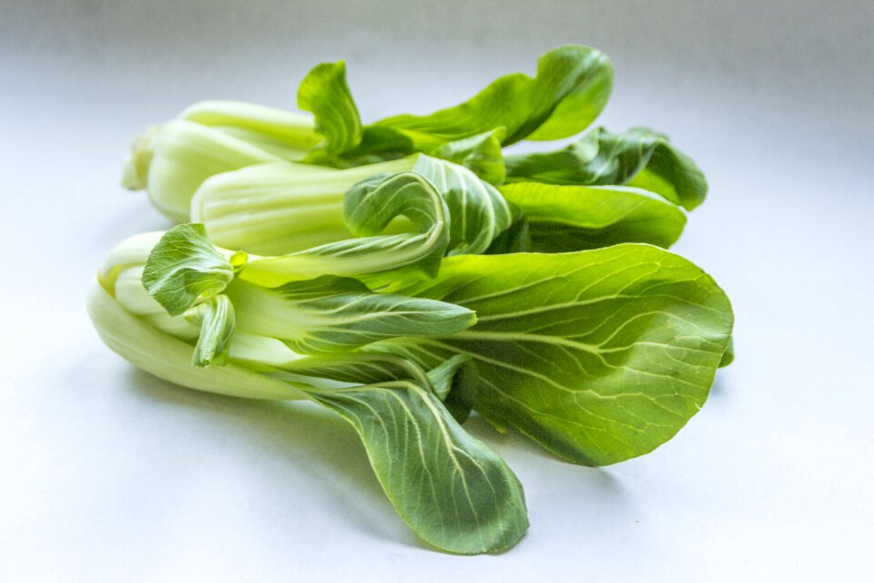 Leaf desktop pak choi