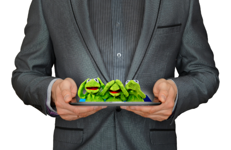 Kermit frog plush toys photo
