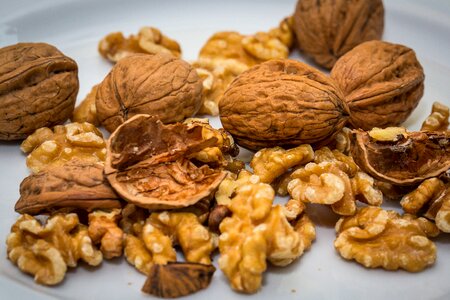 Walnuts nuts fruit bowl