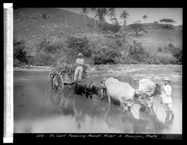 Porto (i.e., Puerto) Rico, West Indies, 328- Ox cart passing Manati River LCCN2016824449