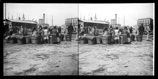 Port de mercaderies i nens amb cistelles de patates