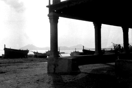 Port de Pollença (FMF P 097)