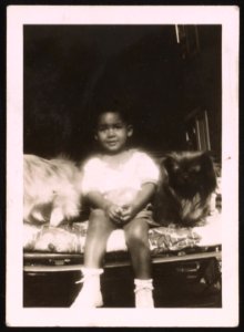 Portrait of a young child sitting next to two dogs LCCN2015650645