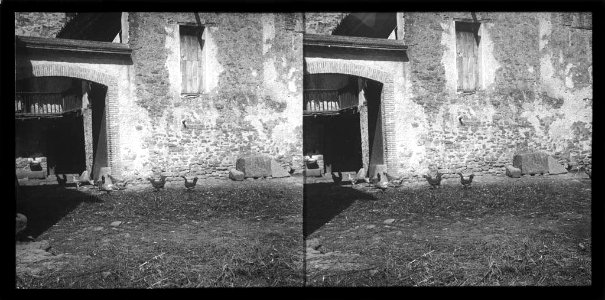Portal i part de la façana d'una casa amb gallines