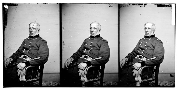 Portrait of Brig. Gen. James S. Wadsworth, officer of the Federal Army LOC cwpb.04579