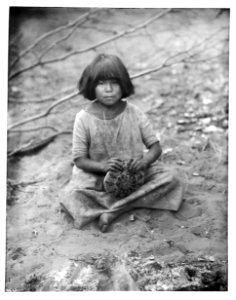 Portrait of a young Havasupai girl making a basket, ca.1900 (CHS-4683)