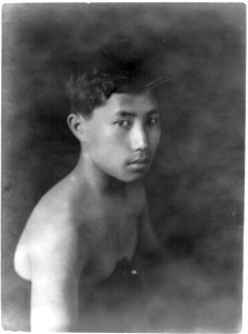 Portrait of Chinese-Hawaiian boy LCCN2016650384 photo