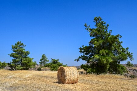 Hay bale nature forest