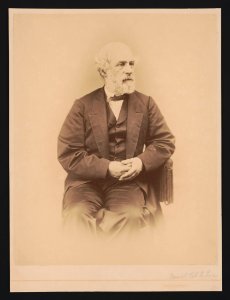 Portrait of General Robert E. Lee, February 18, 1865 LCCN2004674417