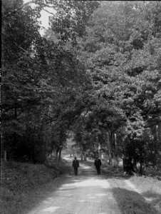 Porthkerry Park in Barry (4785920)