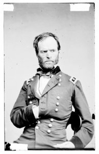 Portrait of Maj. Gen. William T. Sherman, officer of the Federal Army LOC cwpb.07136