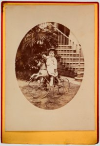 Portrait de Geoffroy de Rohan-Chabot enfant (bgw20 0264)