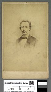 Portrait of Lewis William Lewis, 'Llew Llwyfo' (4670572)