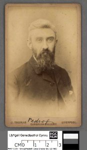 Portrait of Owen Jones, 'Pedrog' (4670599)