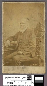 Portrait of Rev. Henry Rees (4670471)