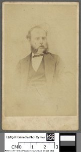 Portrait of Mr John Thomas Chemist Machynlleth (4671483)